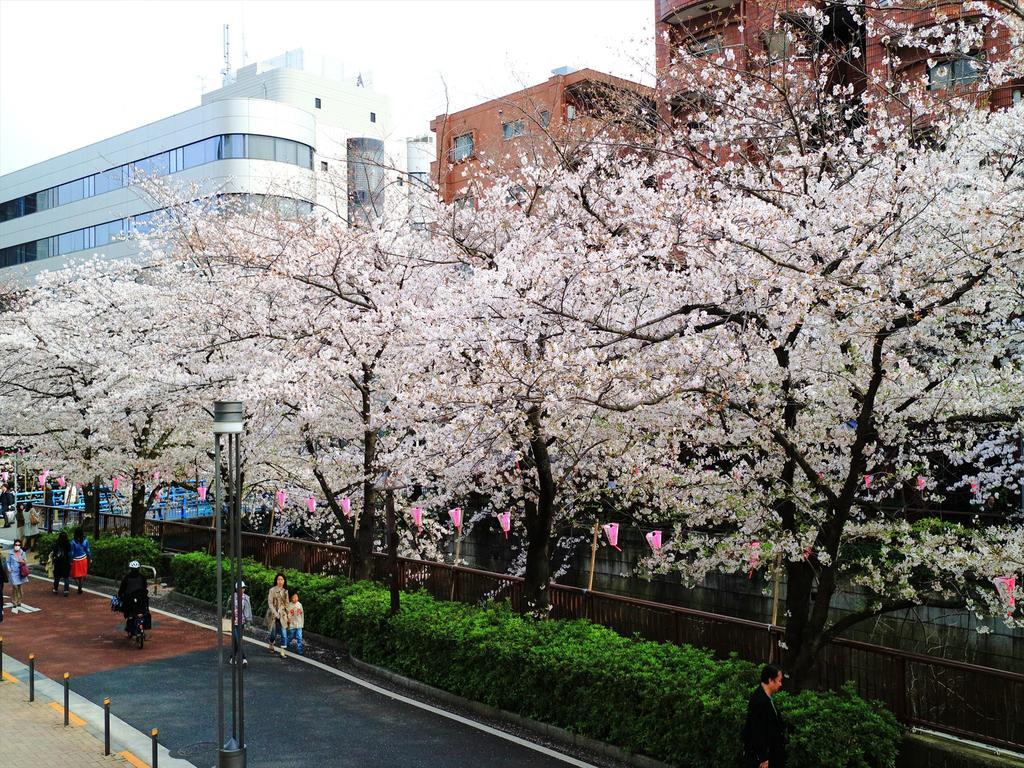 Coto Tokyo Shibuya 2 Apartment Exterior foto